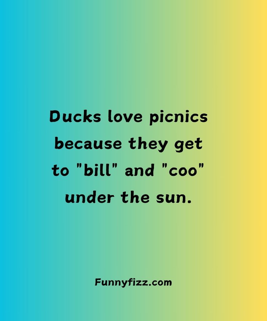 Duck Puns