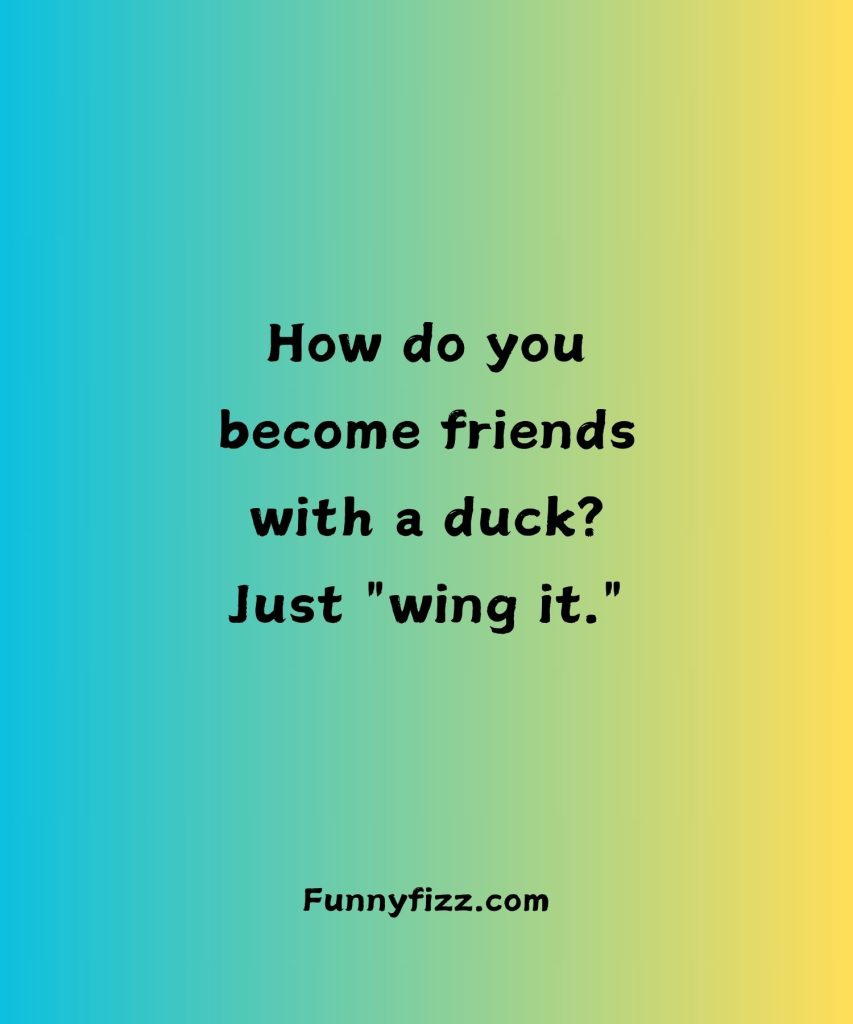 Duck Jokes