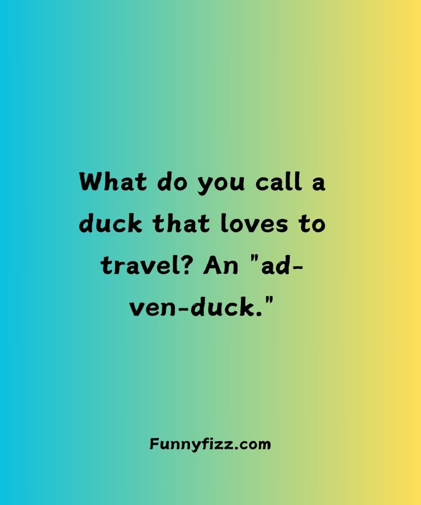 Duck Jokes