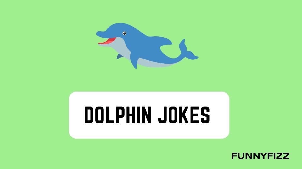 Dolphin Jokes