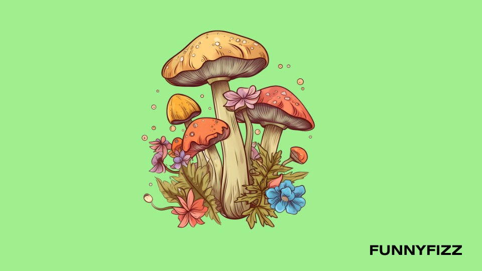 Mushroom Pick-Up Lines