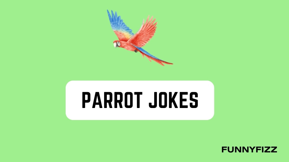 Parrot Jokes