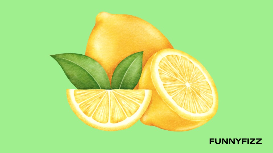 Lemon Puns