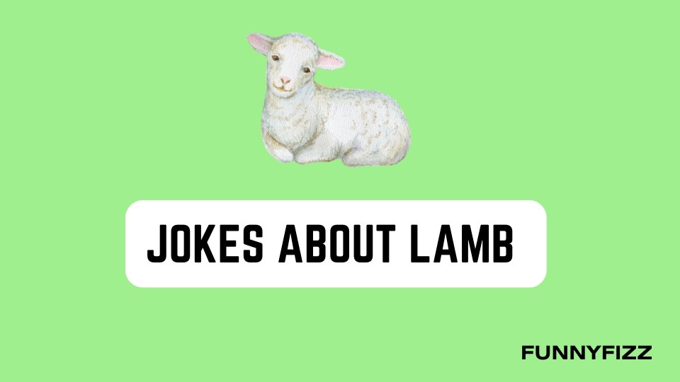 Jokes about Lambs