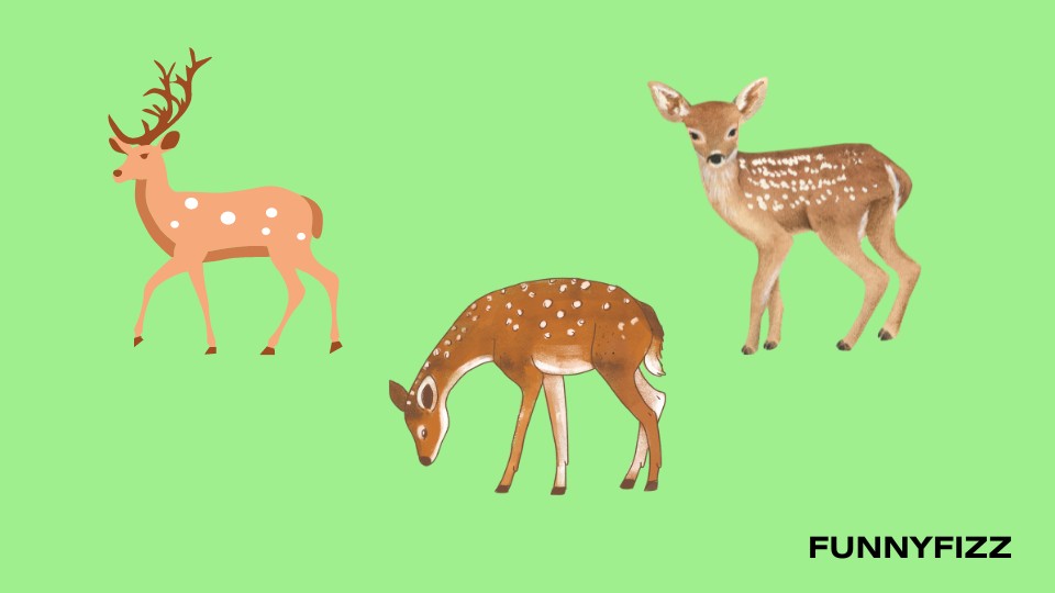 Deer Pick-Up Lines