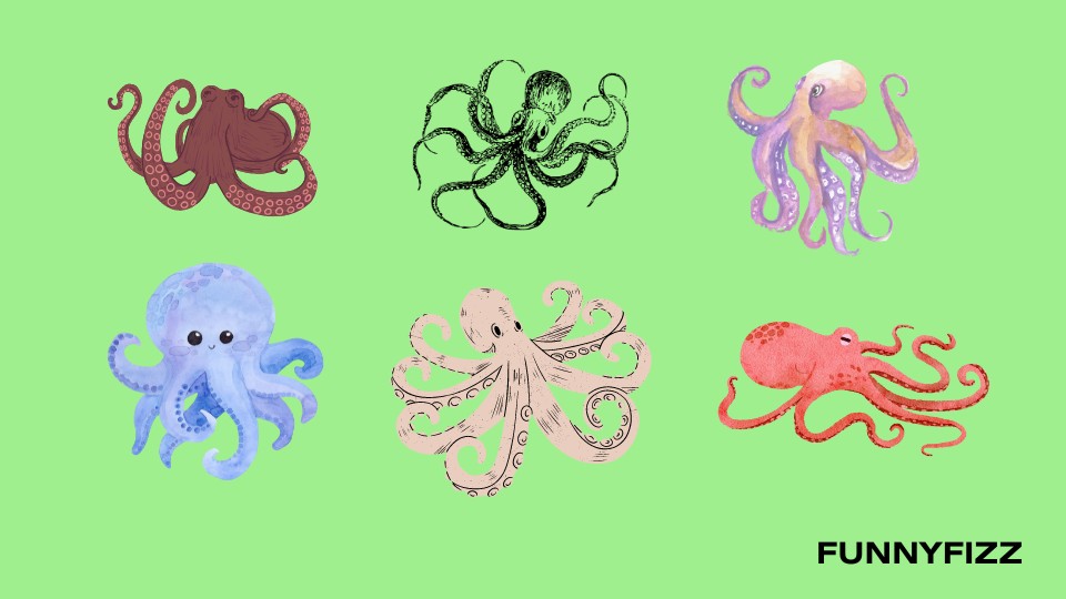 Octopus One-Liners