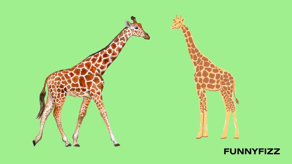 Giraffe Pick-Up Lines