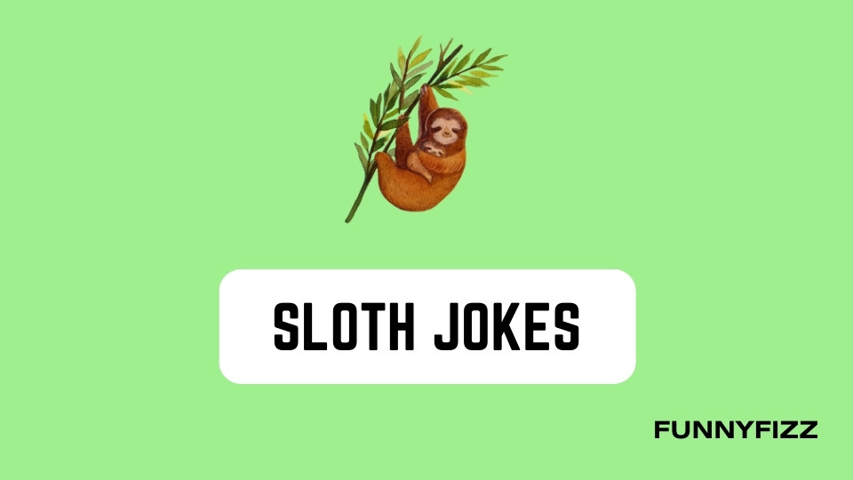 Sloth Jokes