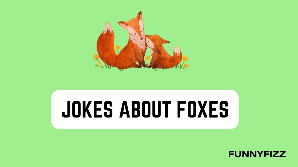Jokes about Foxes