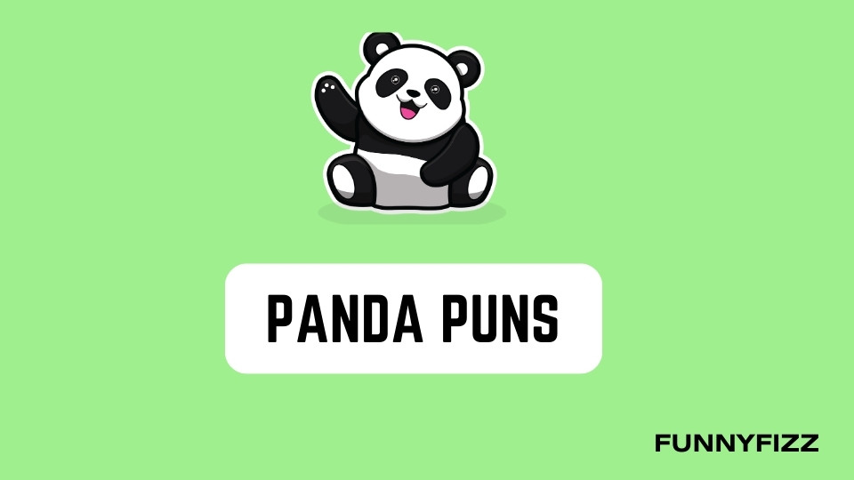 Panda Puns