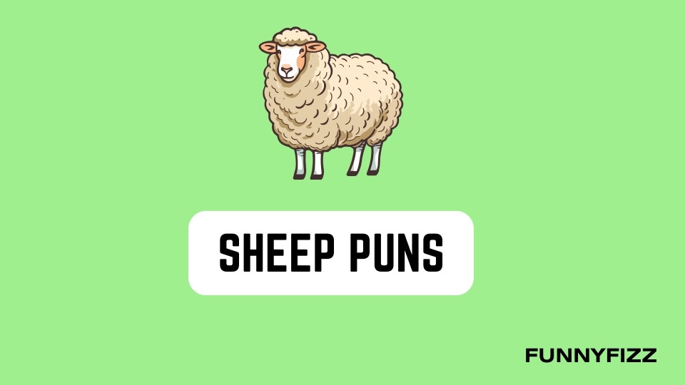 Sheep Puns