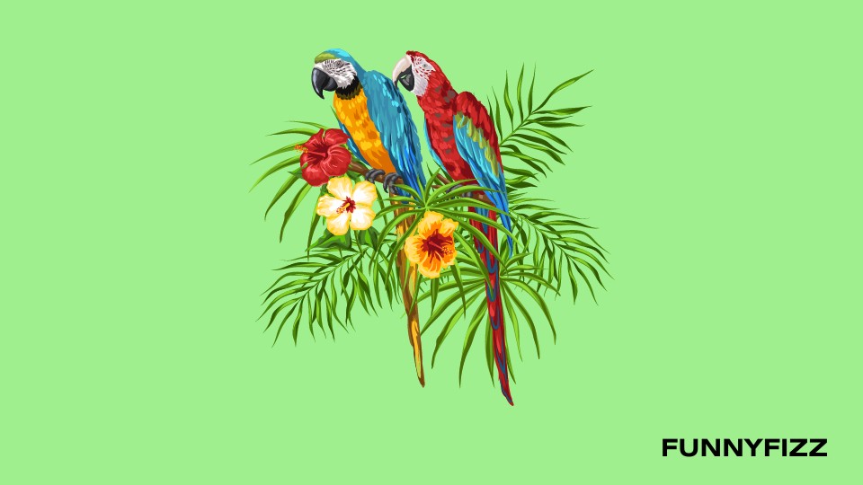 Parrot Pick-Up Lines
