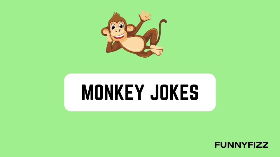 Monkey Jokes