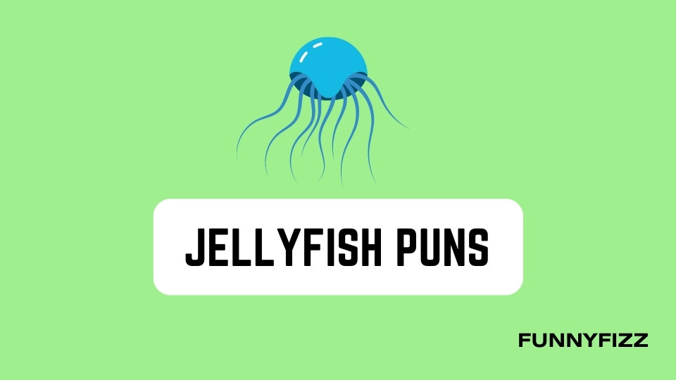 Jellyfish Puns
