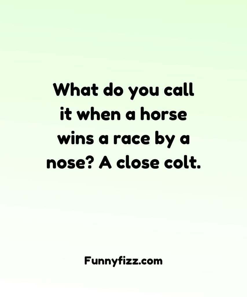 Horse Puns