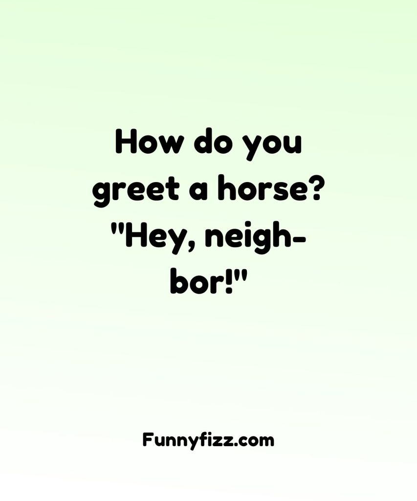 Horse Puns