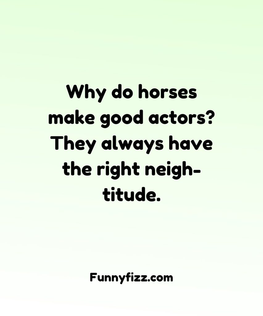 Horse Riding Puns