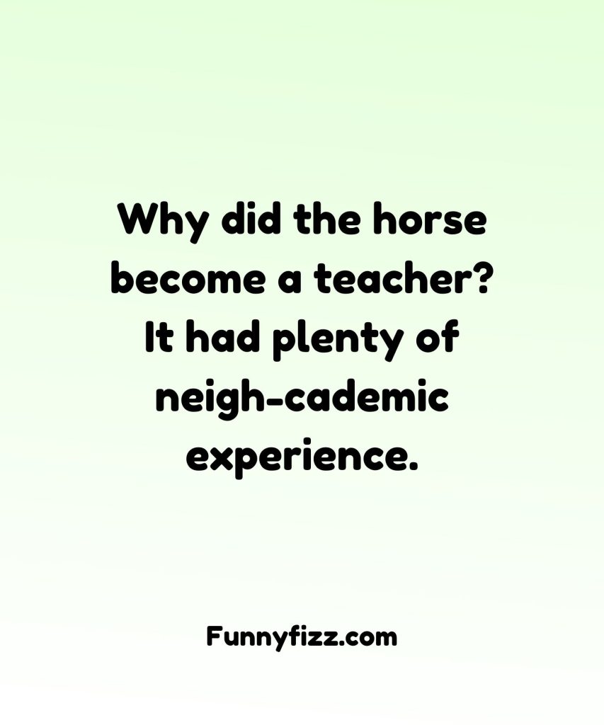 Horse Riding Puns