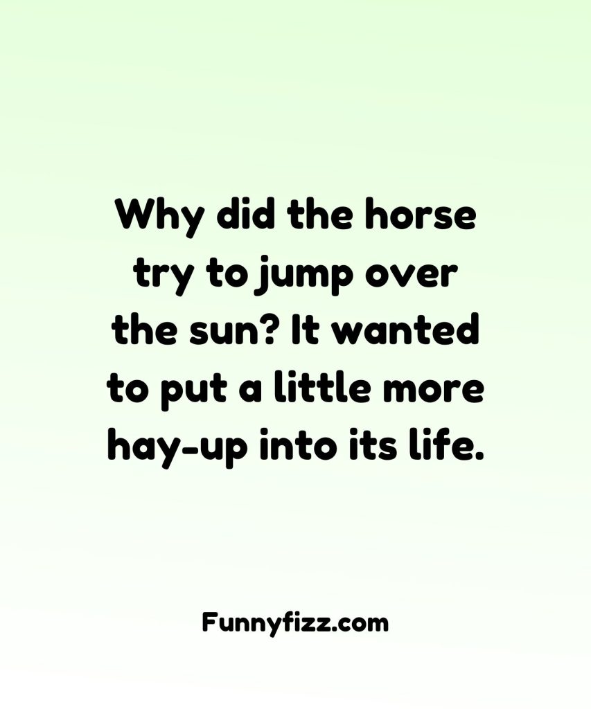 Horse Riding Puns