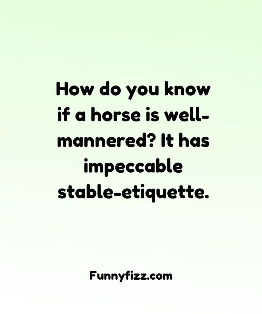 Horse Puns