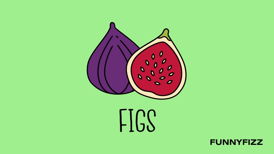 Fig Pick-Up Lines