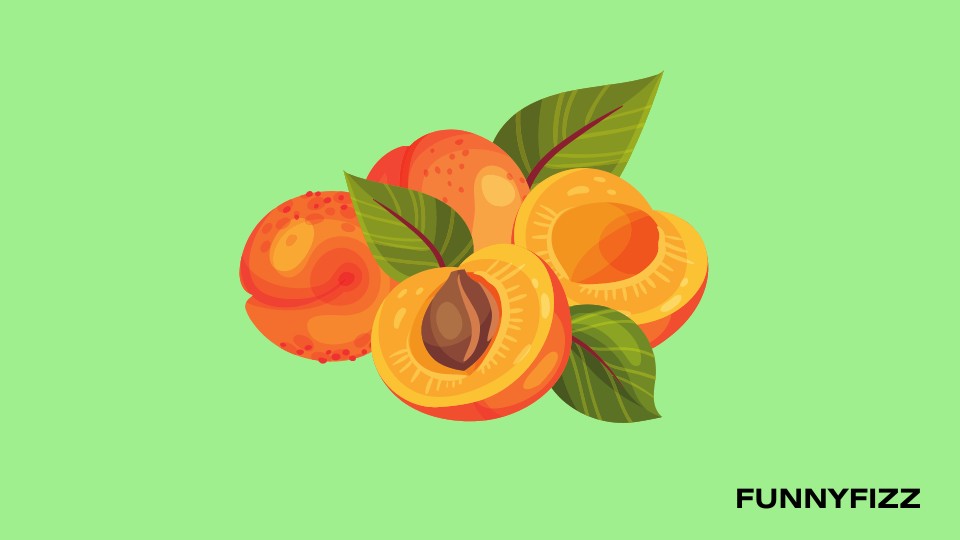 Apricot Puns