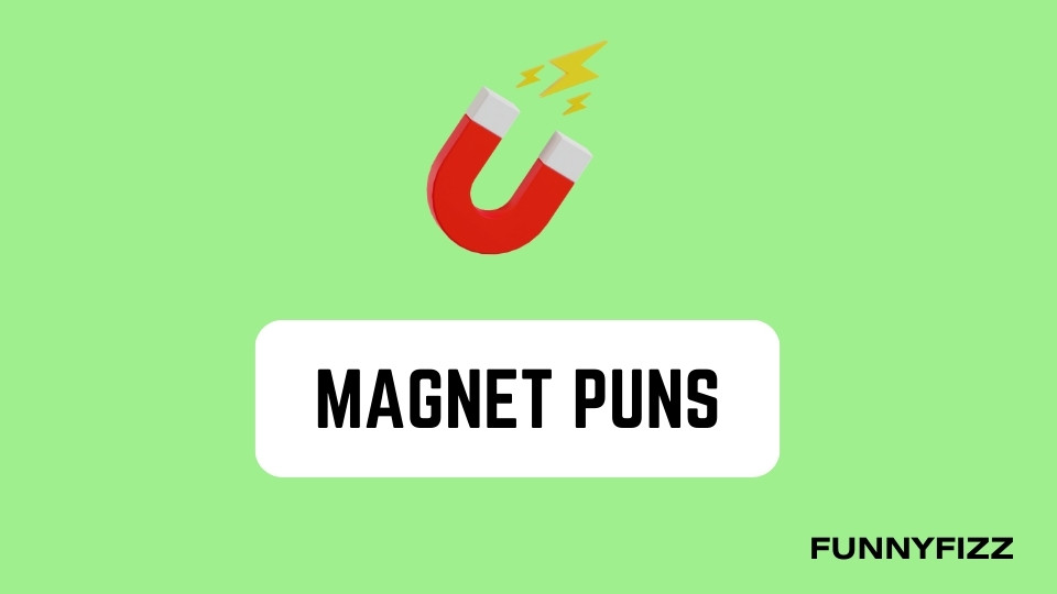 Magnet Puns