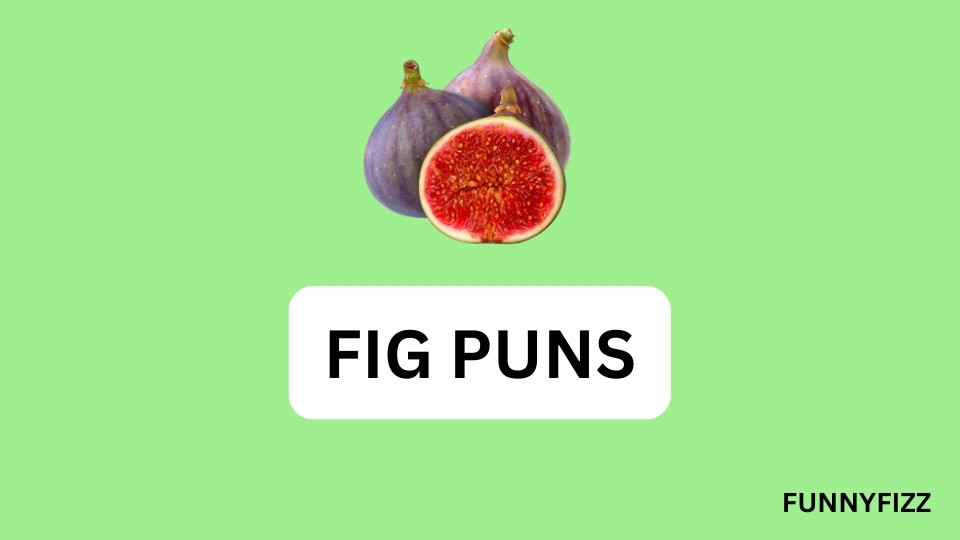 Fig Puns