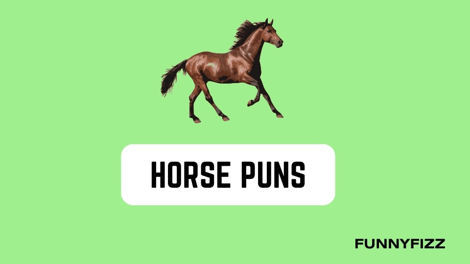 Horse Puns