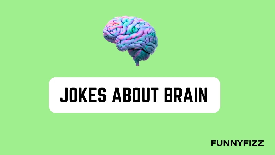 Jokes about Brains