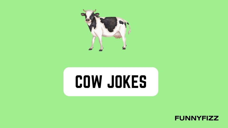 Cow Jokes