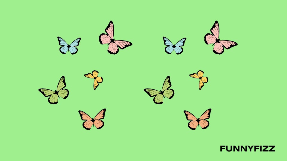 Butterfly Pick-Up Lines