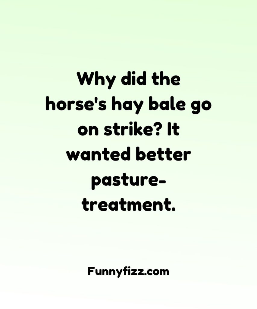 Horse Riding Puns