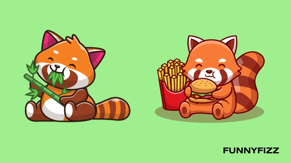 Red Panda Jokes