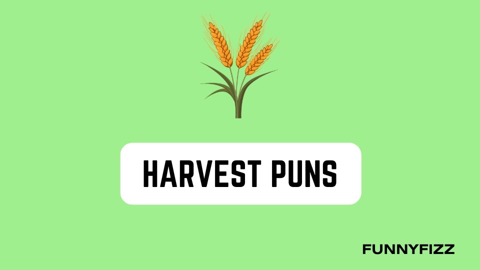 Harvest Puns