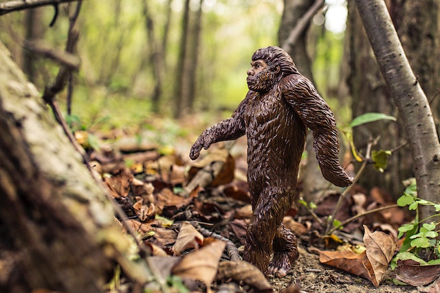 40 Funny Bigfoot Jokes