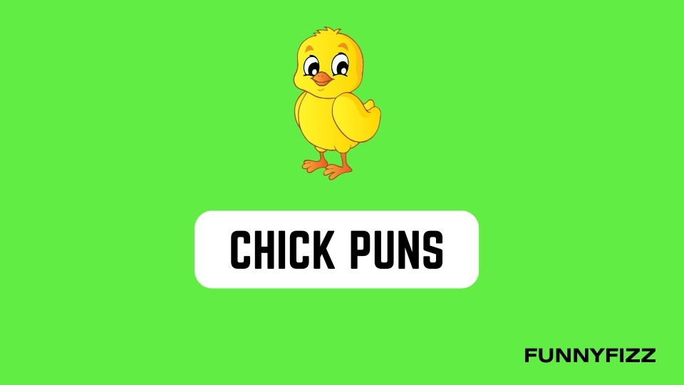 35 Plus Chick Puns