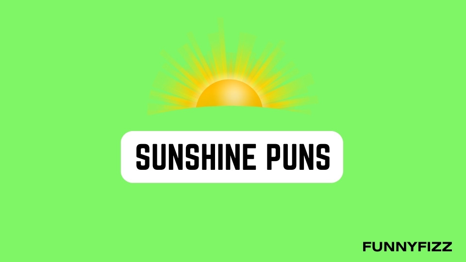 Sunshine Puns