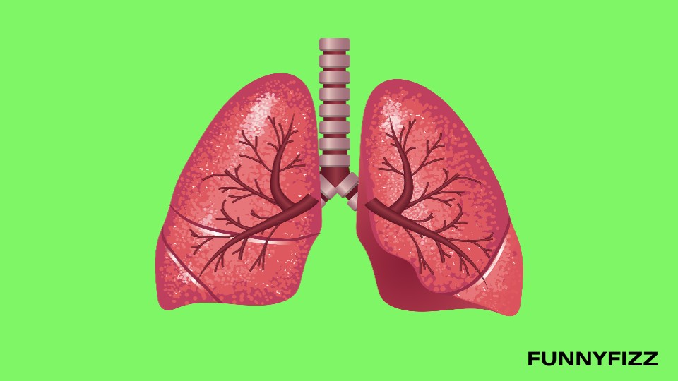 Lung Puns