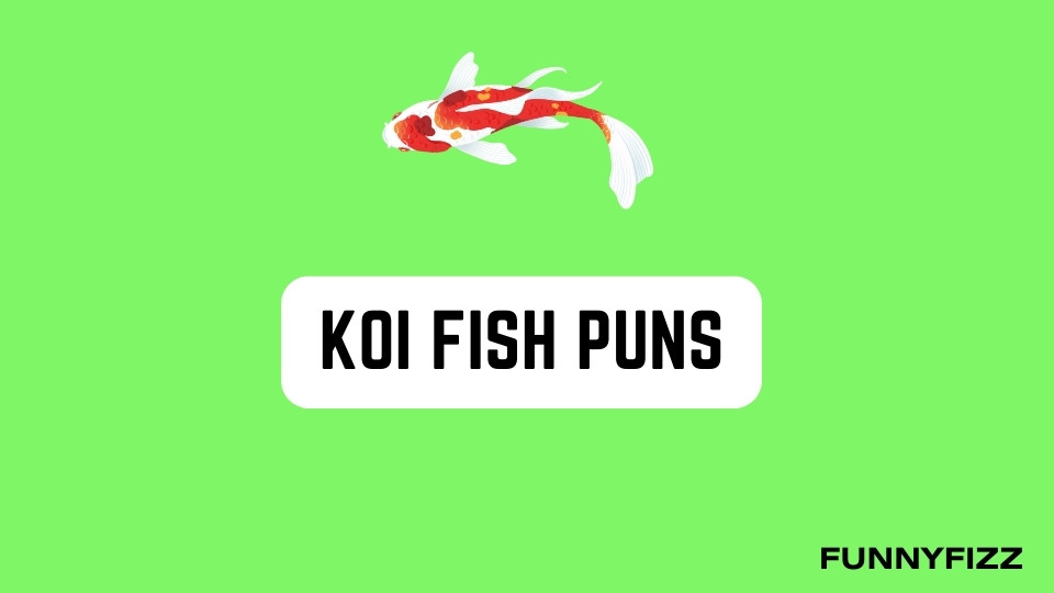 Koi Fish Puns