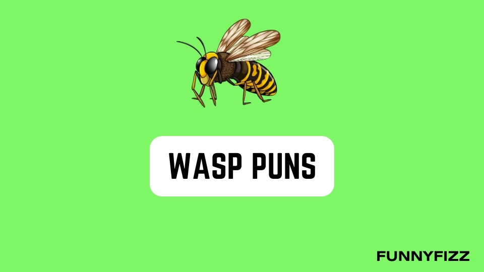 Wasp Puns