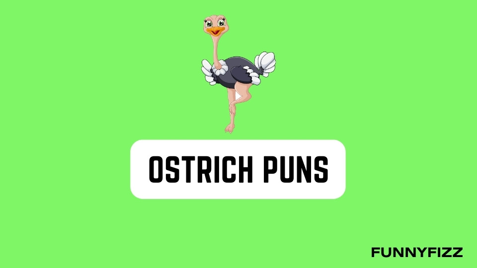 Ostrich Puns