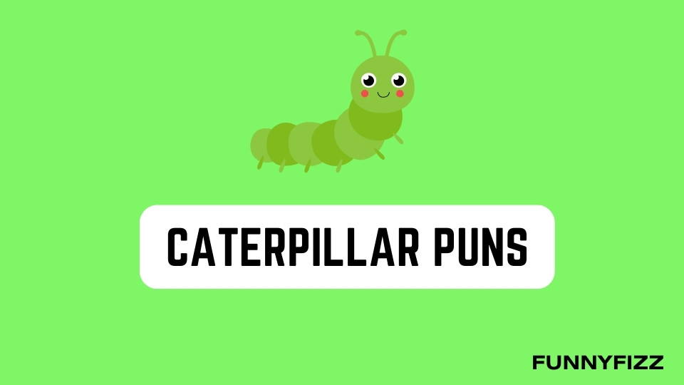Caterpillar Puns